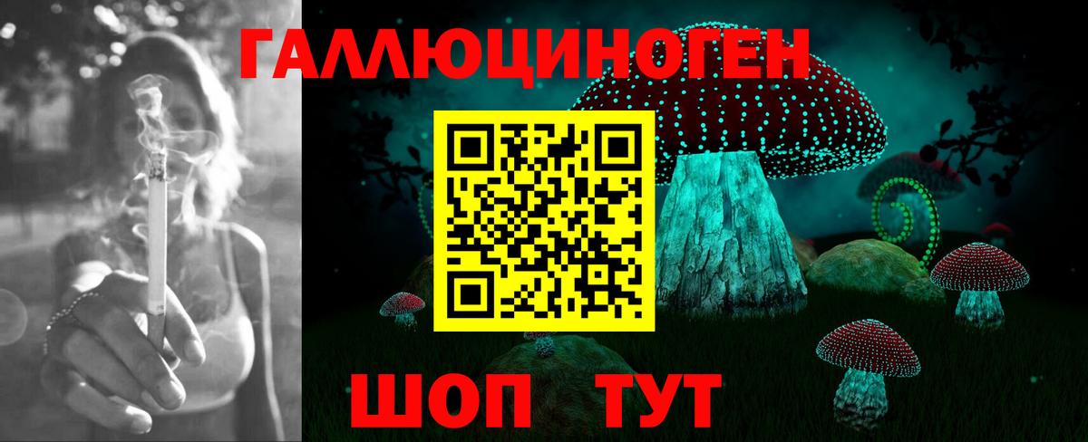 Псилоцибиновые грибы мухоморы  Псилоцибиновые грибы Psilocybine cubensis  где купить   Вход с VPN  Зеленокумск 